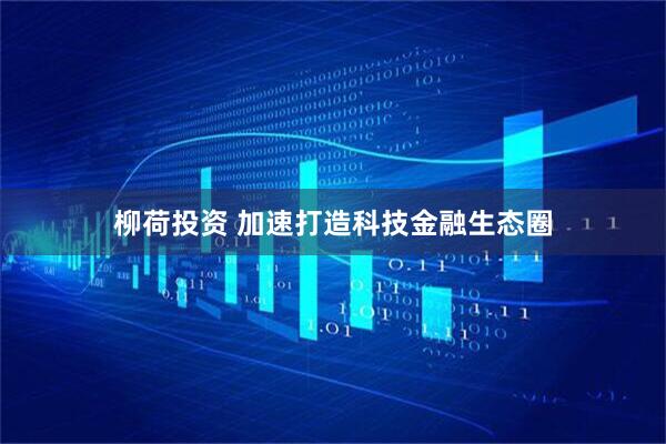柳荷投资 加速打造科技金融生态圈