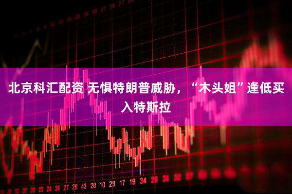 北京科汇配资 无惧特朗普威胁，“木头姐”逢低买入特斯拉