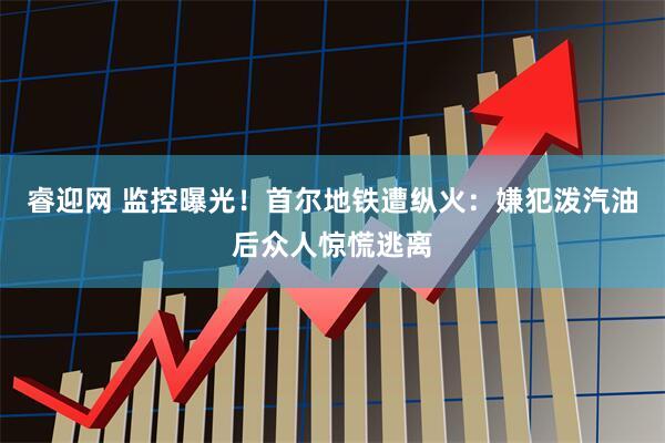 睿迎网 监控曝光！首尔地铁遭纵火：嫌犯泼汽油后众人惊慌逃离