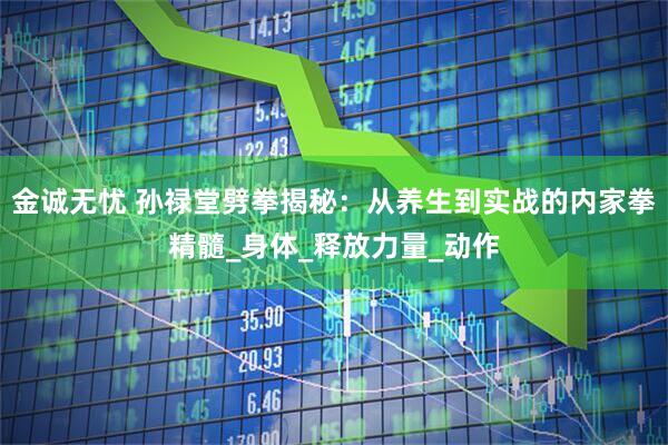 金诚无忧 孙禄堂劈拳揭秘：从养生到实战的内家拳精髓_身体_释放力量_动作