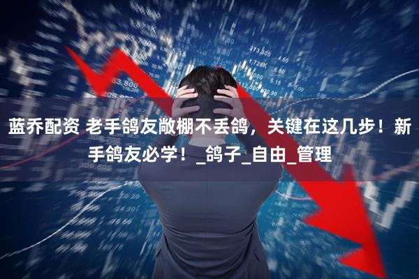 蓝乔配资 老手鸽友敞棚不丢鸽，关键在这几步！新手鸽友必学！_鸽子_自由_管理