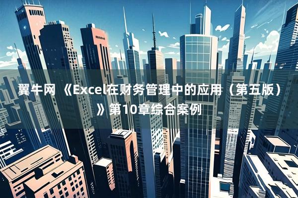 翼牛网 《Excel在财务管理中的应用（第五版）》第10章综合案例